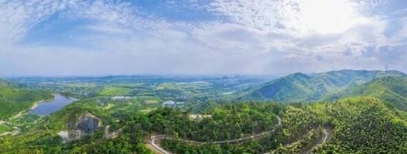 章鱼彩票世界杯-章鱼彩票世界杯，一场娱乐与体育的跨界盛宴